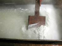 ��I�̎��R���P�O�O��