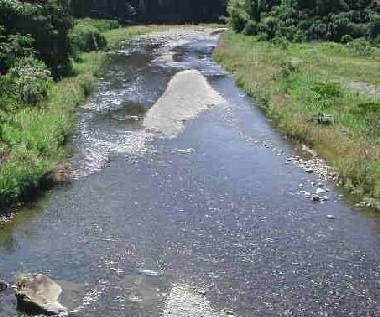 �g�b�v�摜�Q